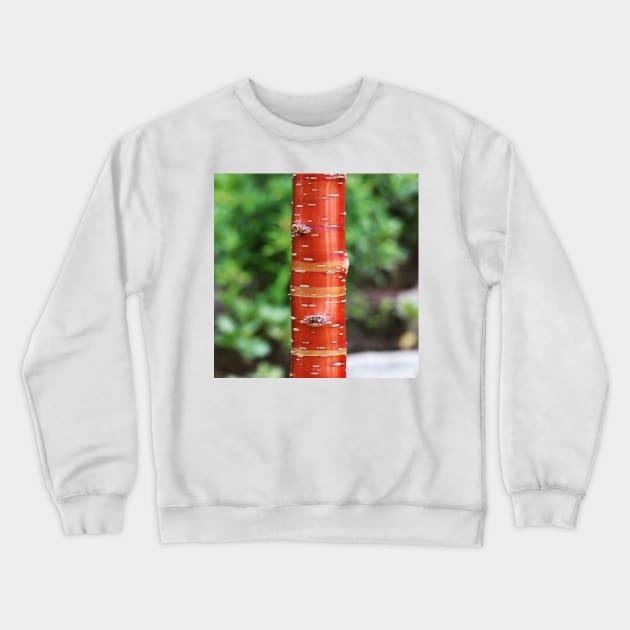 Tree trunk Crewneck Sweatshirt by Jonesyinc